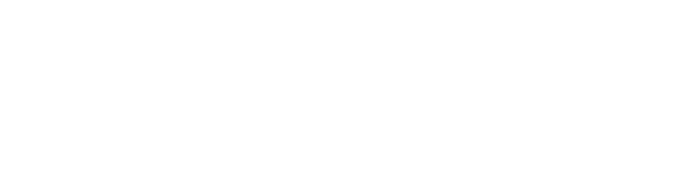 Shameless Snacks